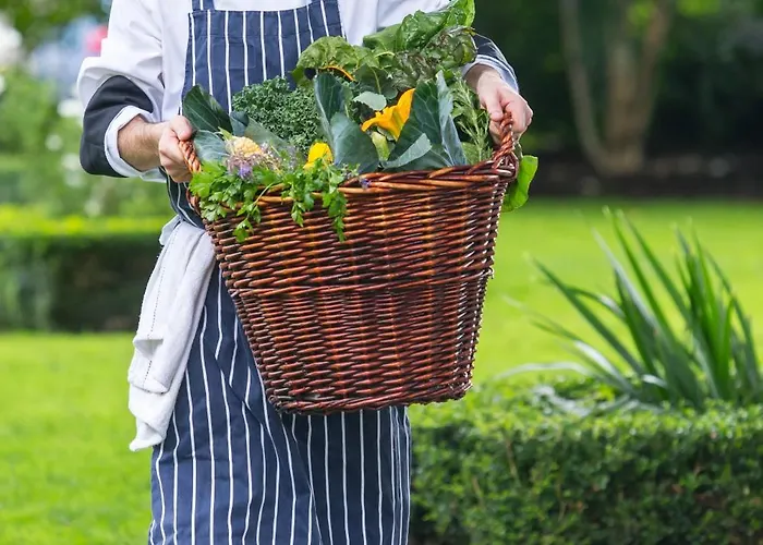 Old Ground Hotell Ennis